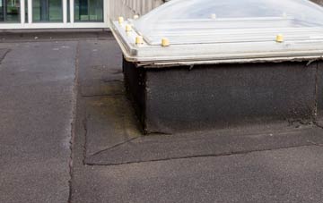 disadvantages of East Ferry flat roofs