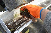 rated East Ferry gutter cleaning companies