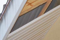 rated East Ferry soffit repair companies